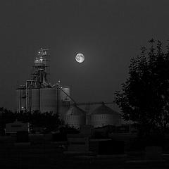 SuperMoonAug11_2014bwsm